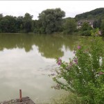 lillweglake