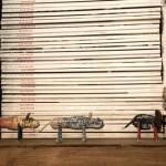 shelf animals