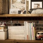 shelves 2