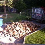 firewood for the winter